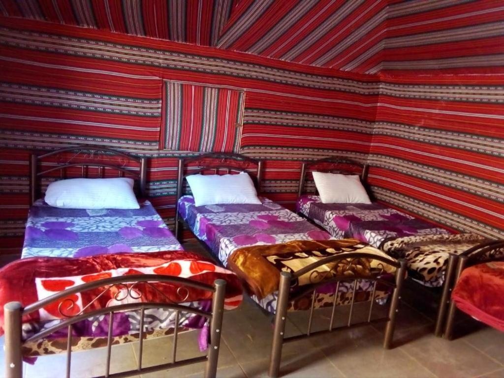 Wadi Rum Moon Camp Екстериор снимка