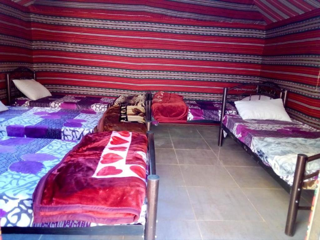 Wadi Rum Moon Camp Екстериор снимка