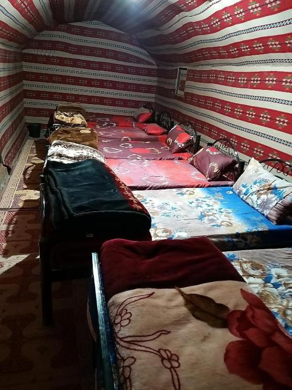 Wadi Rum Moon Camp Екстериор снимка