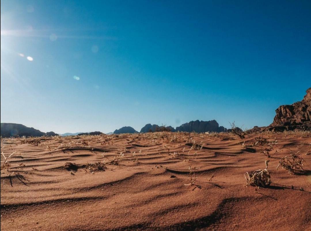 Wadi Rum Moon Camp Екстериор снимка