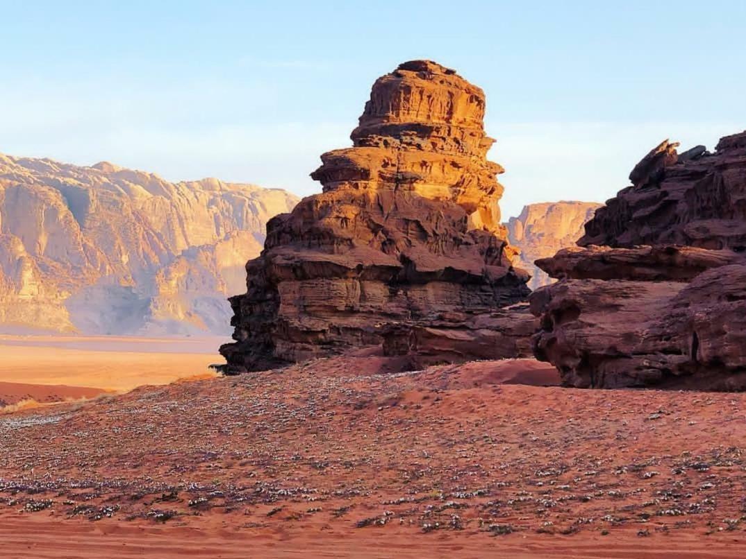 Wadi Rum Moon Camp Екстериор снимка