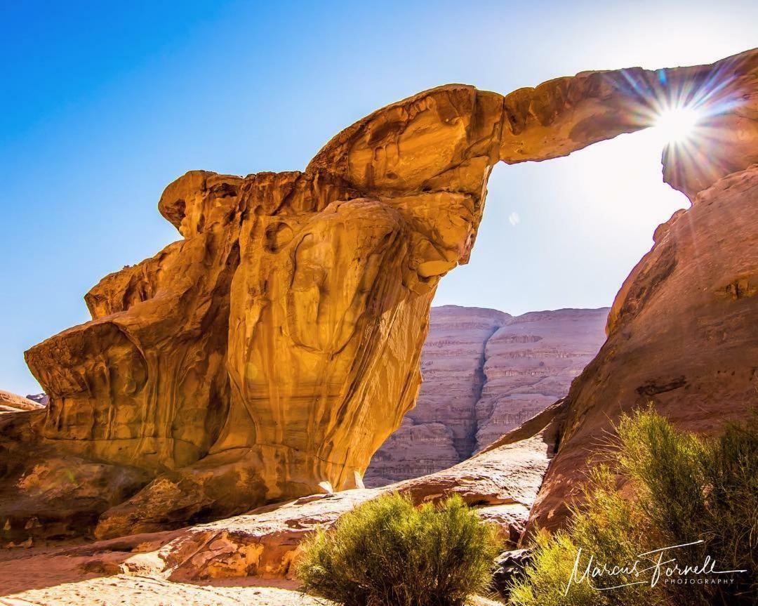 Wadi Rum Moon Camp Екстериор снимка