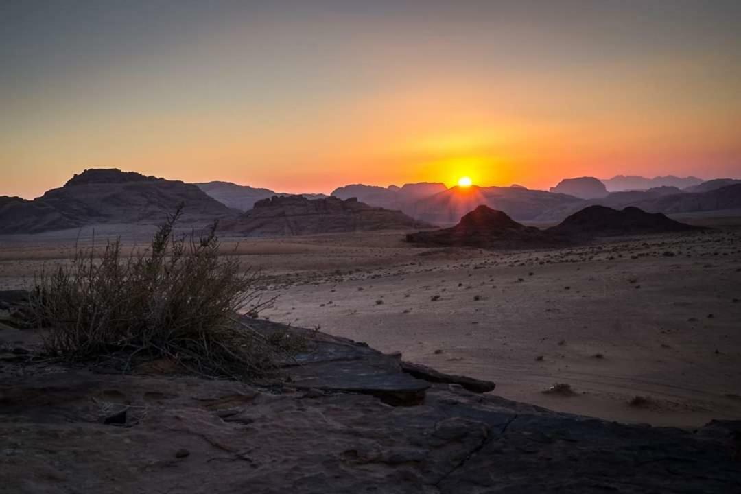 Wadi Rum Moon Camp Екстериор снимка