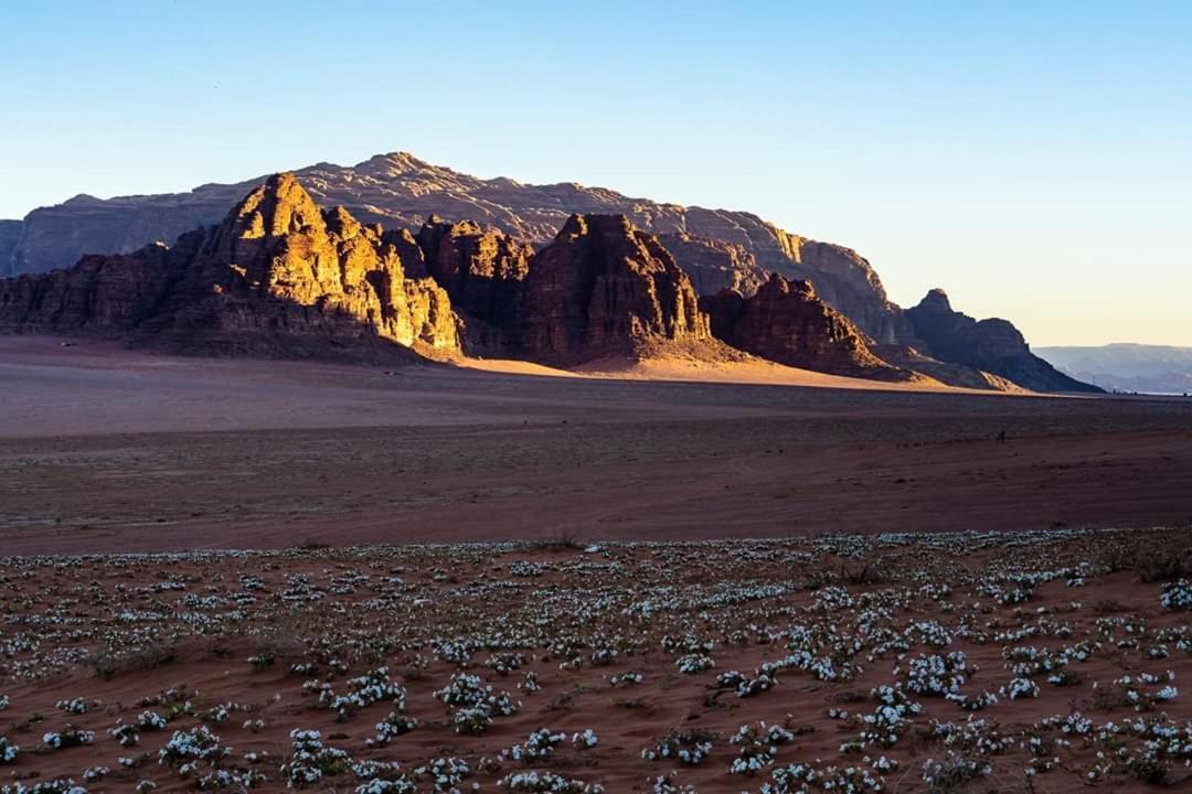 Wadi Rum Moon Camp Екстериор снимка